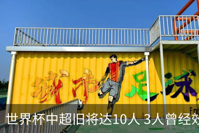 世界杯中超旧将达10人 3人曾经效力国安海港两将