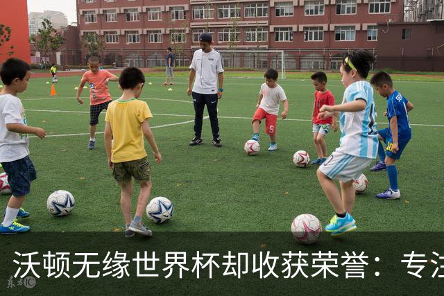 沃顿无缘世界杯却收获荣誉：专注水晶宫的未来与梦想